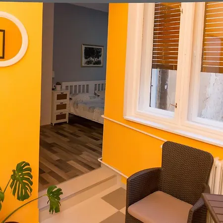 Girasole نوفي ساد